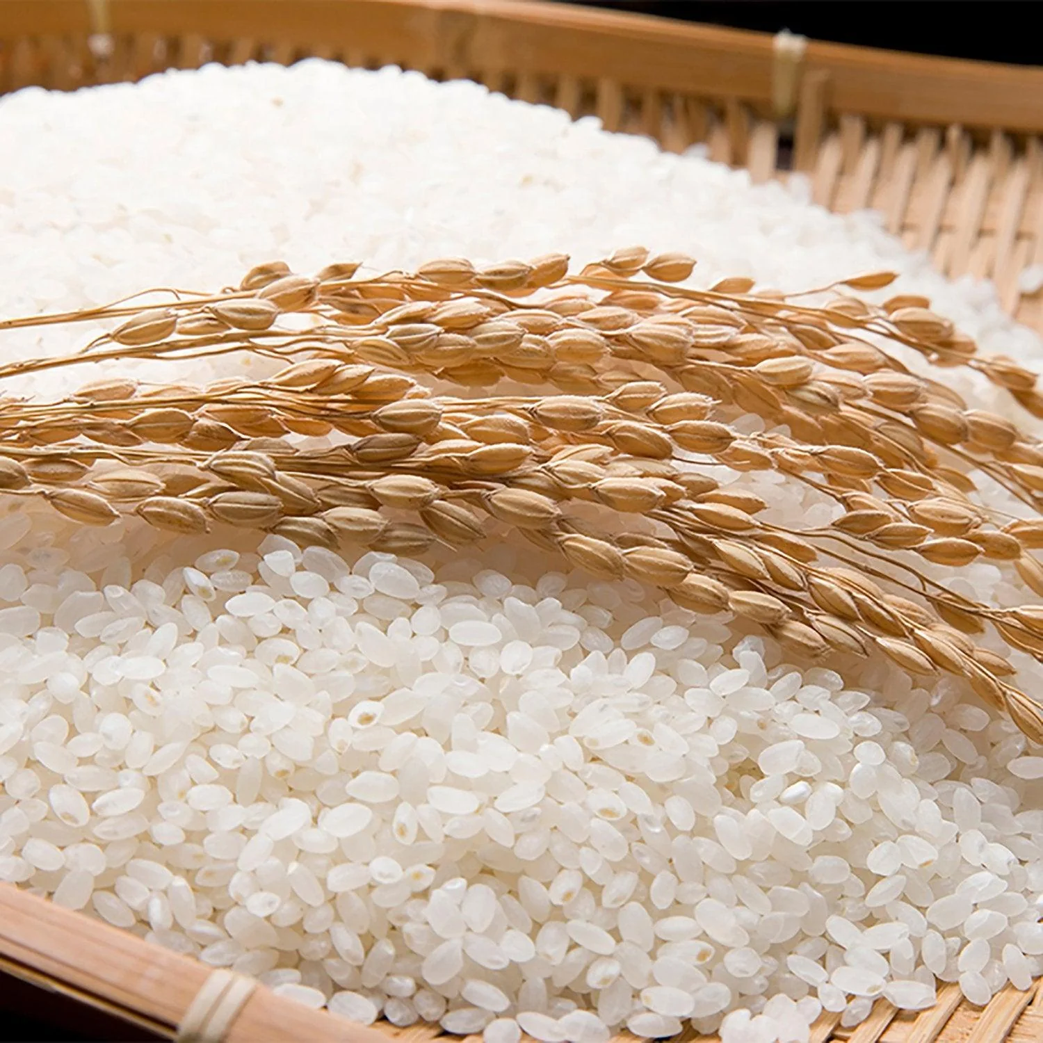 Korean Rice (Bap)